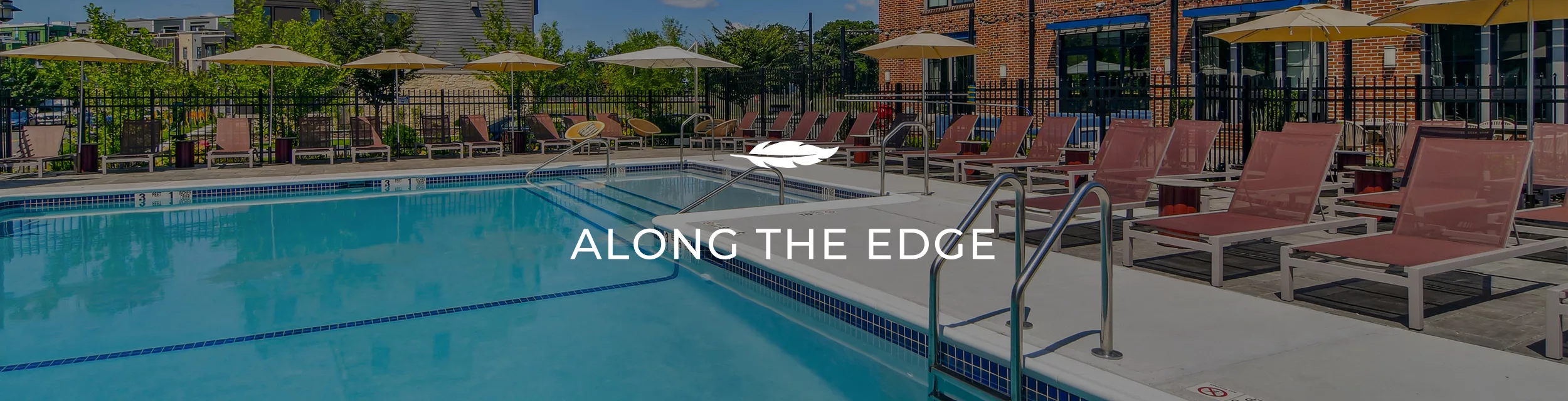 A pool surrounded by red lounge chairs and open yellow umbrellas with the words "Along the Edge" written across the center.