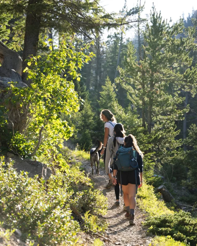Spend your upcoming weekend exploring the great outdoors. Rockefeller State Park Preserve is only 8 minutes away, keeping nature always within reach. 🌲🍃 

#EmersonApartments #SleepyHollow #SleepyHollowNY #SleepyHollowApartments #SleepyHollowLiving #SleepyHollowHomes #SleepyHollowRealEstate #EdgeOnHudson #TollBrothers